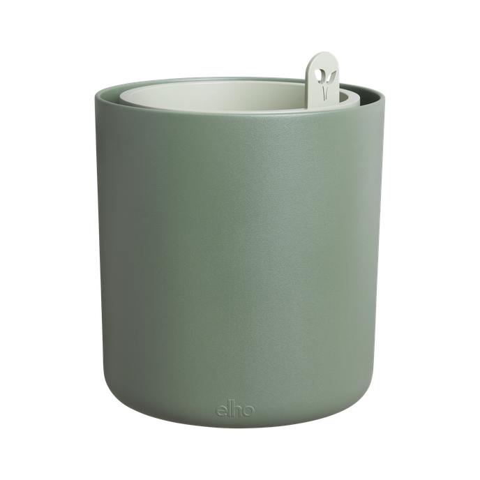 bouncy basil laubgrün